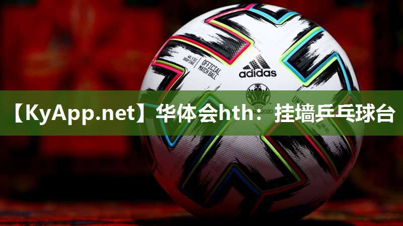 华体会hth：挂墙乒乓球台