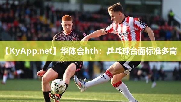 乒乓球台面标准多高