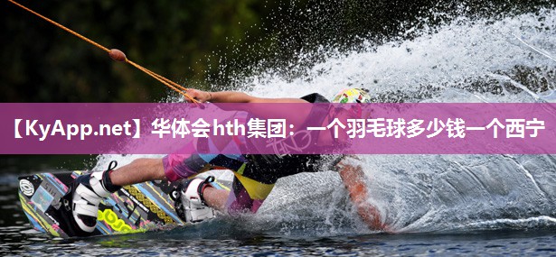 一个羽毛球多少钱一个西宁